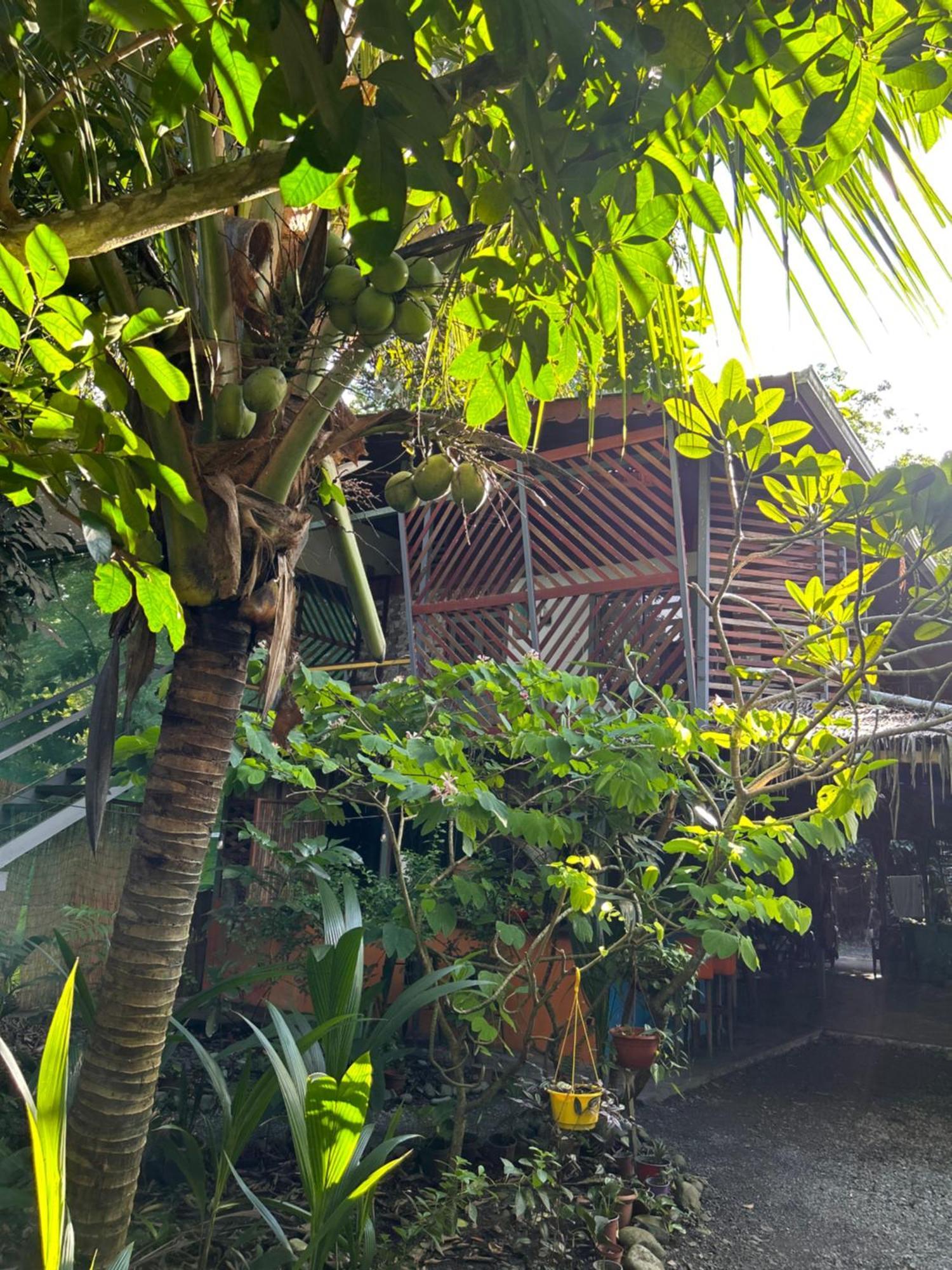 Orgánico Punta Riel Hotel Cahuita Exterior foto