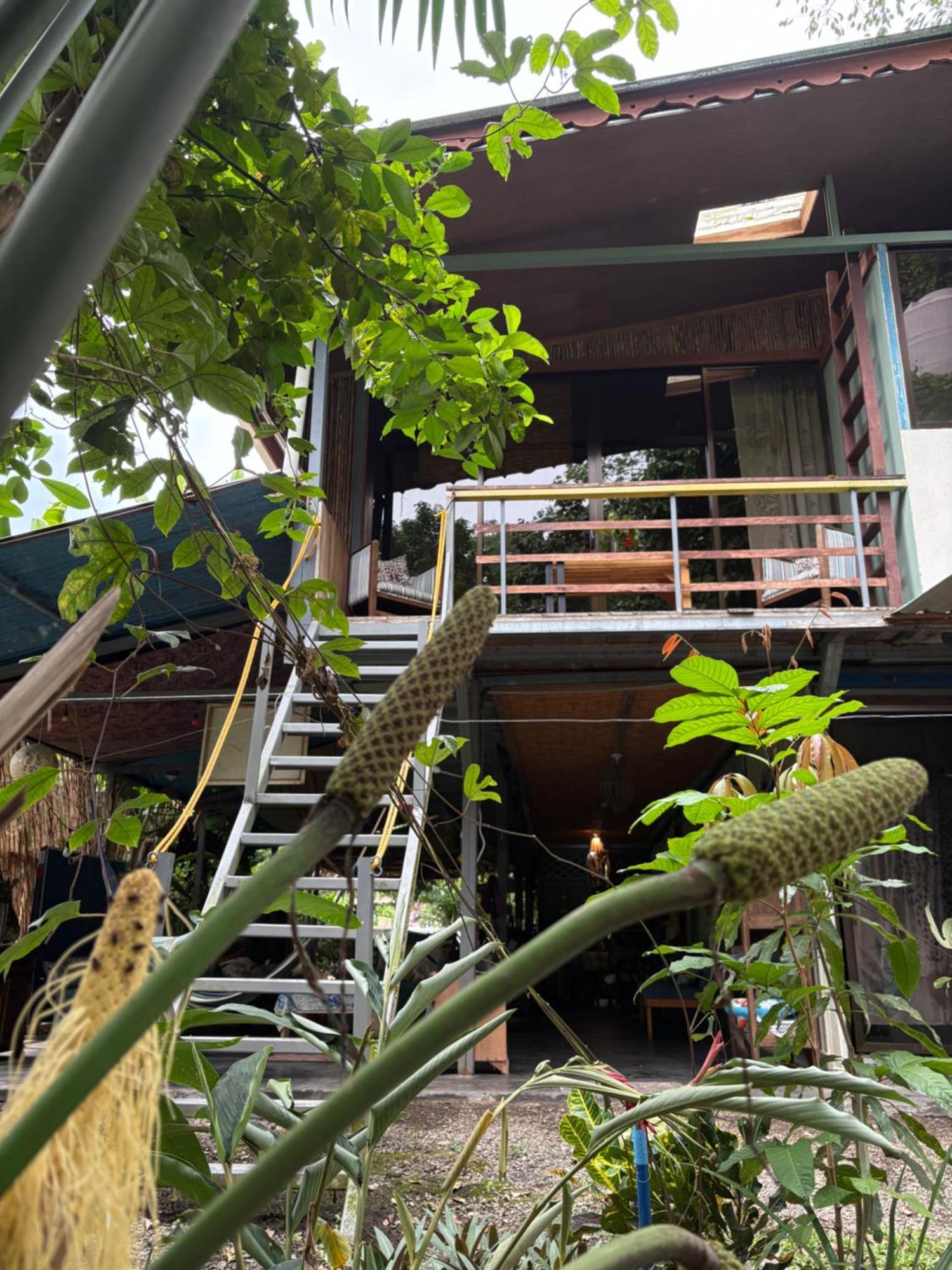 Orgánico Punta Riel Hotel Cahuita Exterior foto