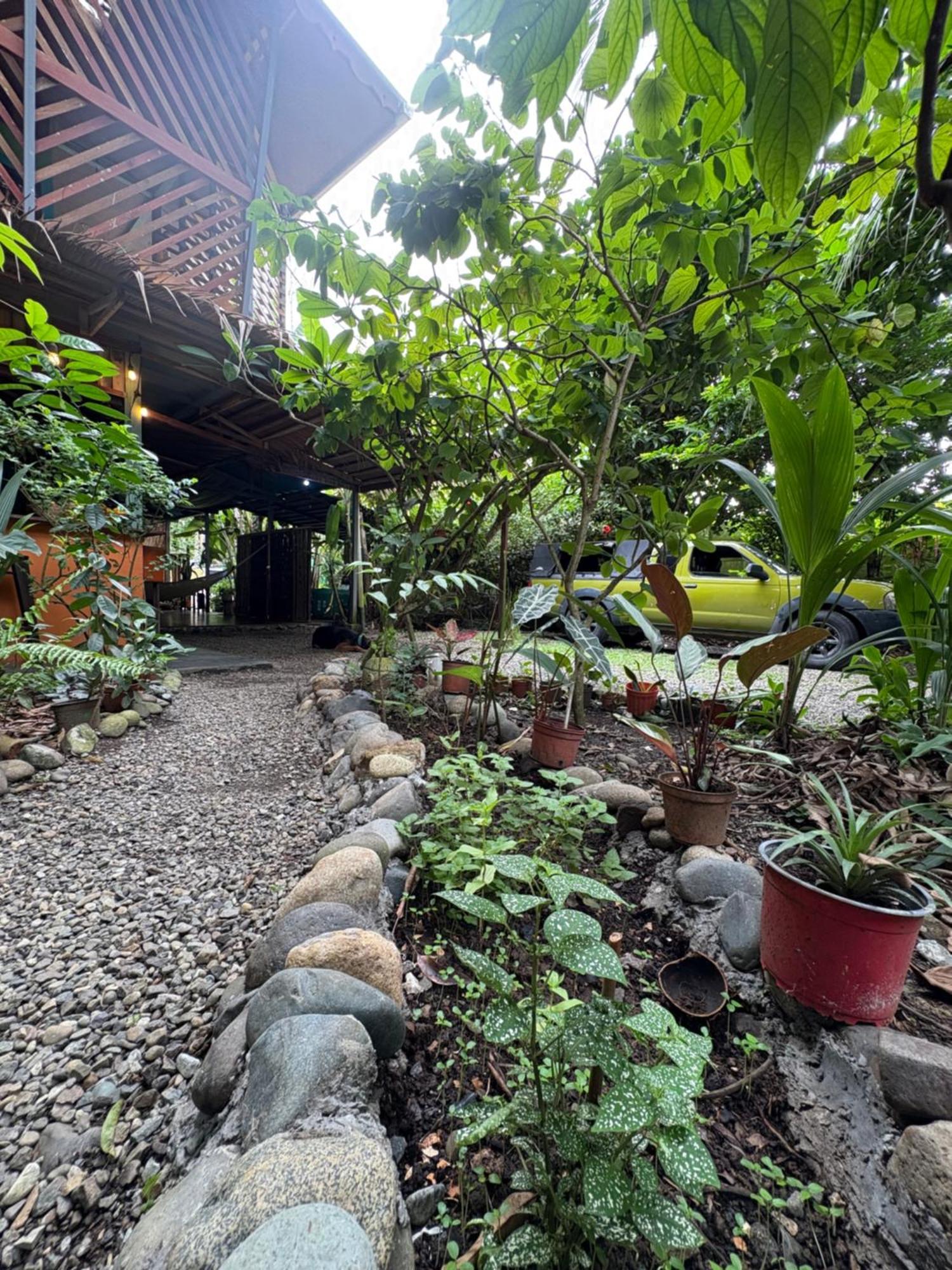 Orgánico Punta Riel Hotel Cahuita Exterior foto